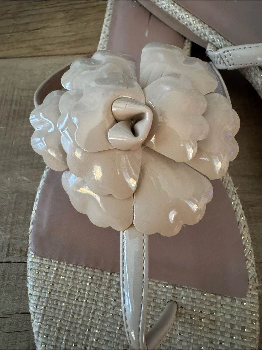 Linea Paolo Laurel Flower Sandal ~ Nude Size 10